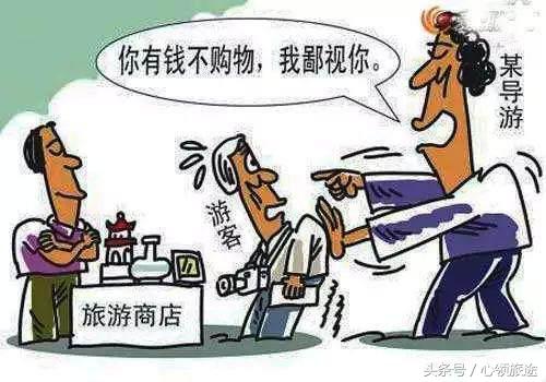 旅游低价团亲身体验感受,低价团旅游最担心什么