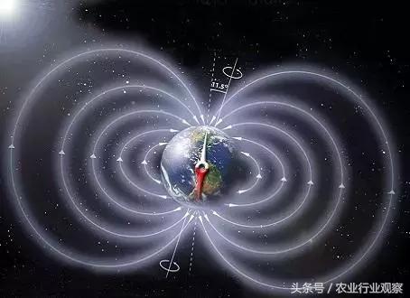 农业企业如何精准产品定位,农产品怎么做品牌定位分析