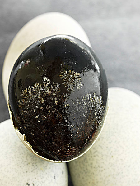 明明是“坏”蛋，还能吃？