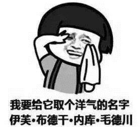 家里潮湿怎么解决最有效,家里空气太湿怎么办