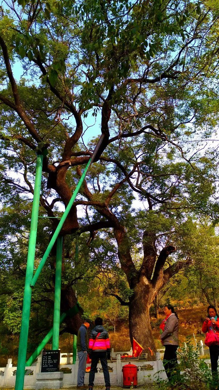 太原出发摩旅太行山攻略,太原出发太行山三日游