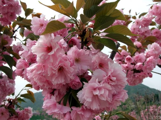 太原出发摩旅太行山攻略,太原出发太行山三日游