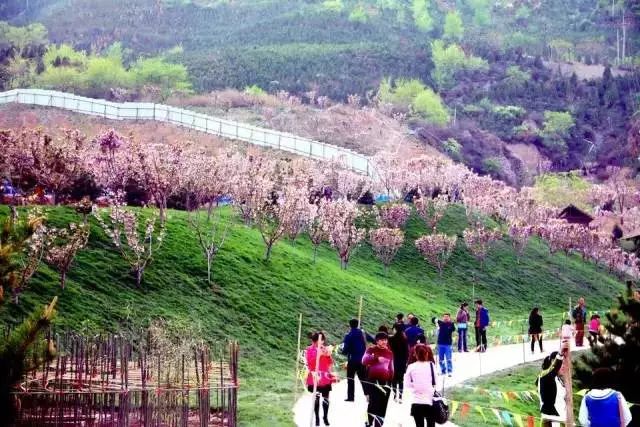 太原出发摩旅太行山攻略,太原出发太行山三日游