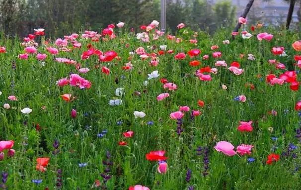 太原出发摩旅太行山攻略,太原出发太行山三日游