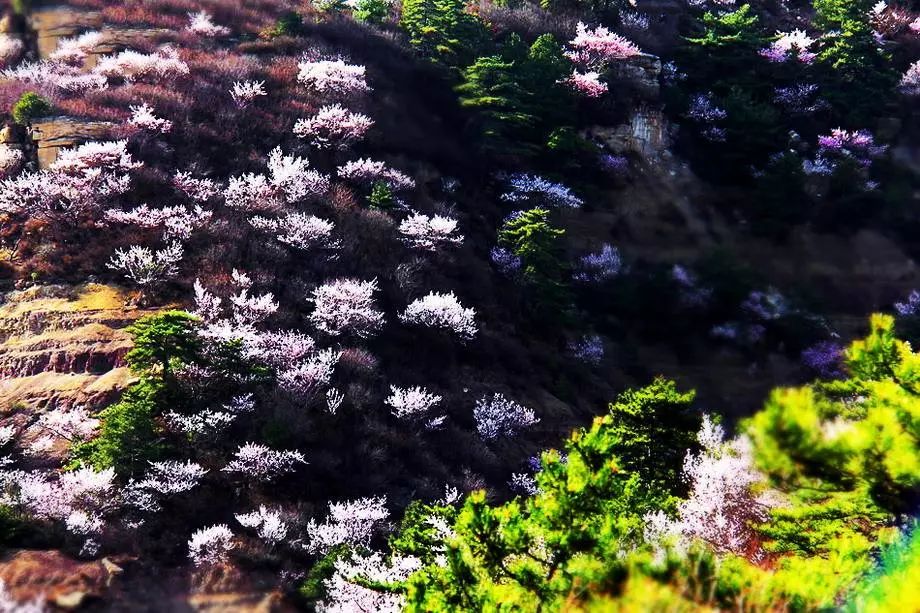 太原出发摩旅太行山攻略,太原出发太行山三日游