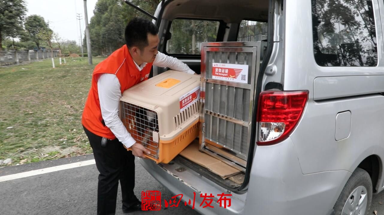 川航宠物机票,川航宠物托运怎么预订