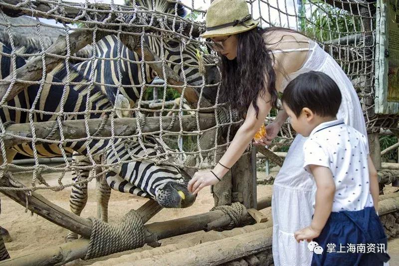 错过这次再等半世纪,来海南必看三亚千古情
