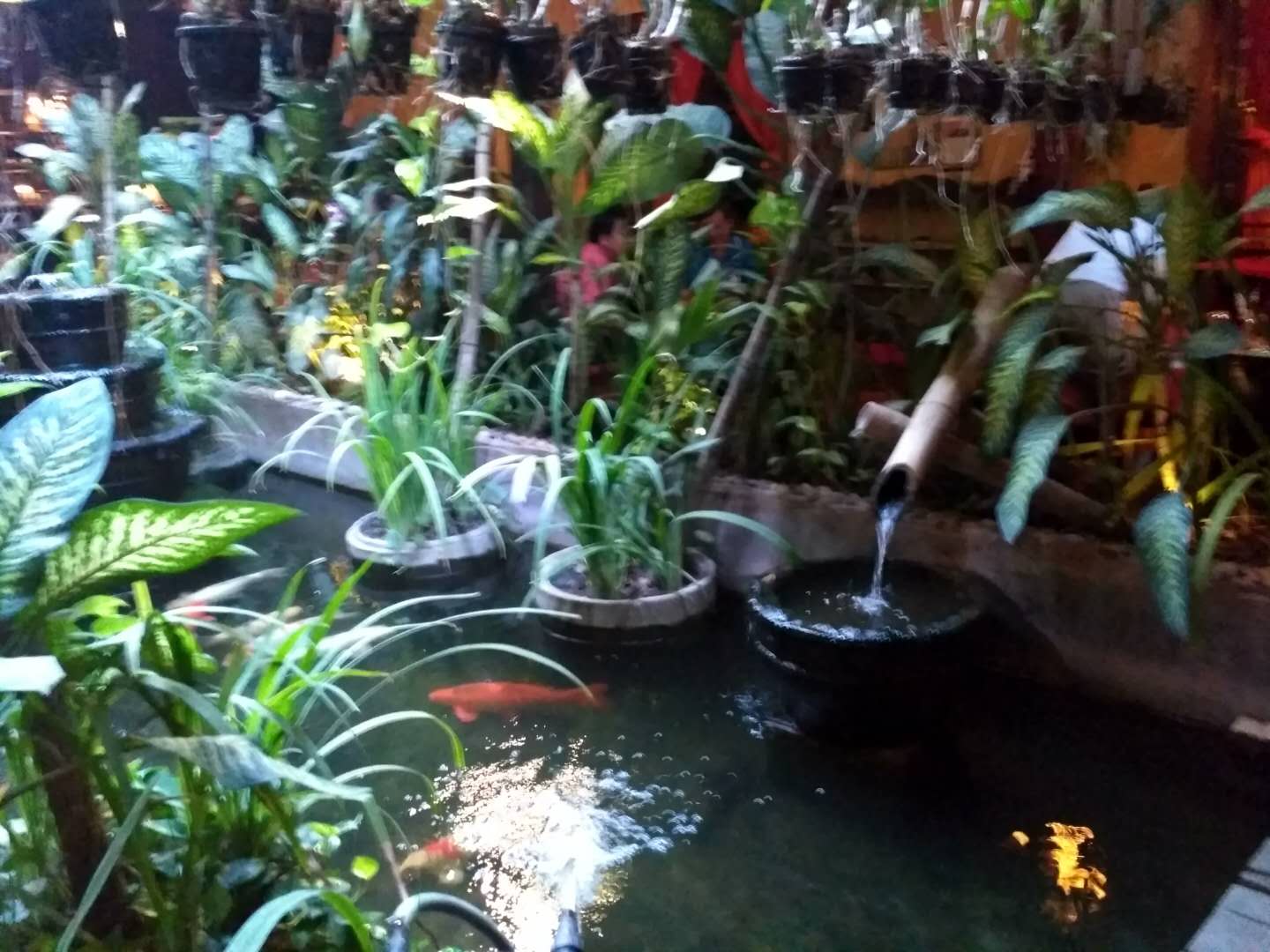 柬埔寨十大必吃餐厅,柬埔寨木牌餐厅