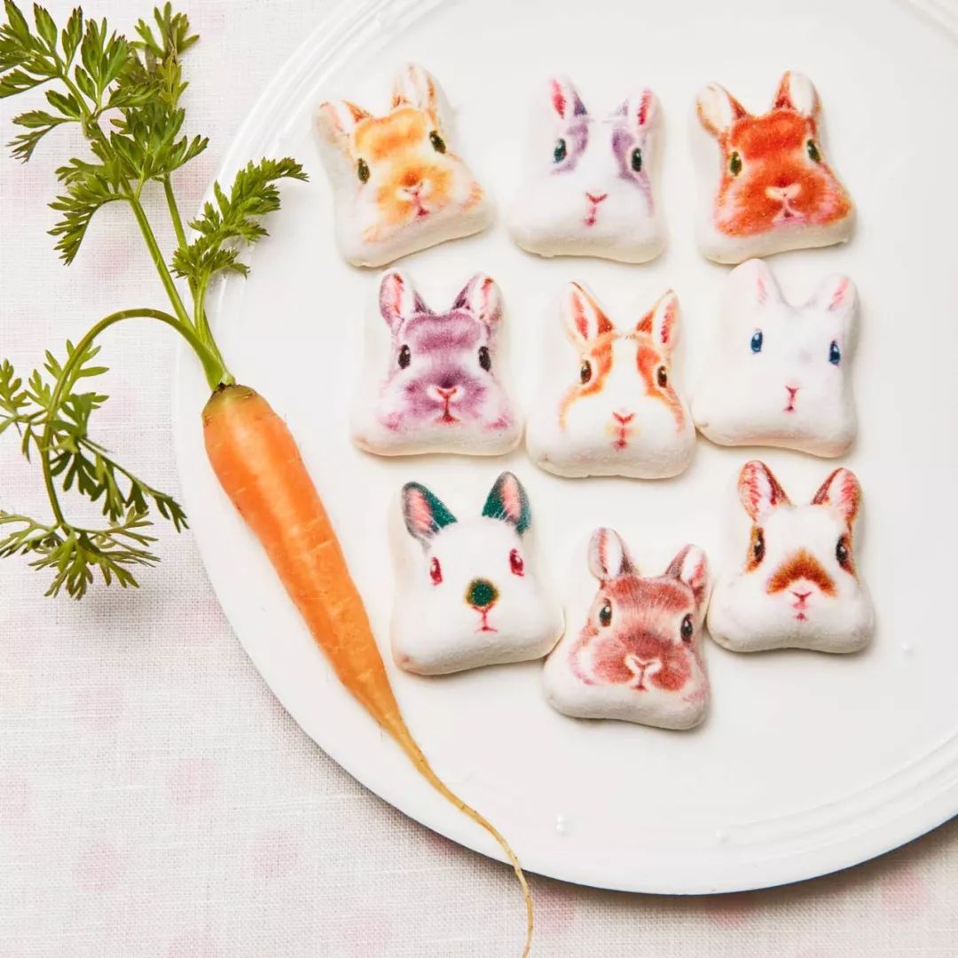 放开我的钱包啊!令猫奴闻风丧胆的种草大会!