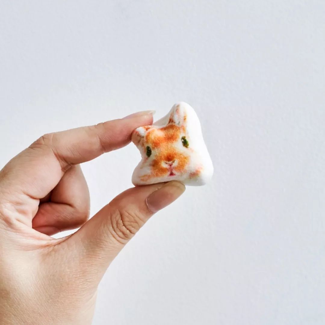 放开我的钱包啊!令猫奴闻风丧胆的种草大会!