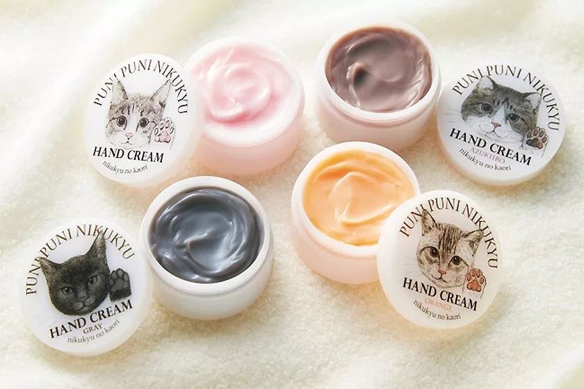 放开我的钱包啊!令猫奴闻风丧胆的种草大会!