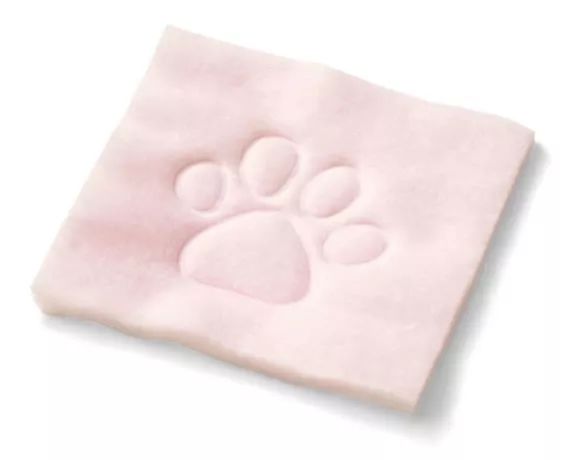 放开我的钱包啊!令猫奴闻风丧胆的种草大会!