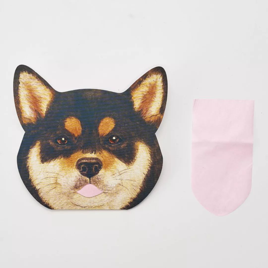 放开我的钱包啊!令猫奴闻风丧胆的种草大会!