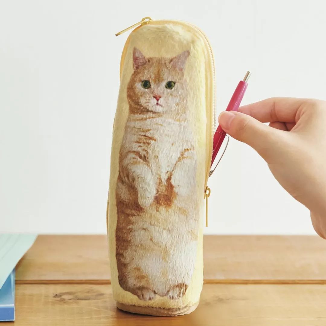 放开我的钱包啊!令猫奴闻风丧胆的种草大会!