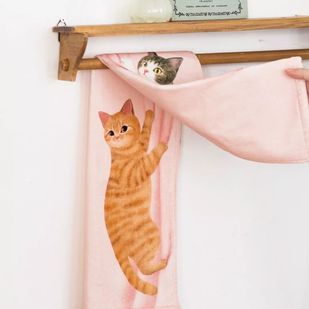 放开我的钱包啊!令猫奴闻风丧胆的种草大会!