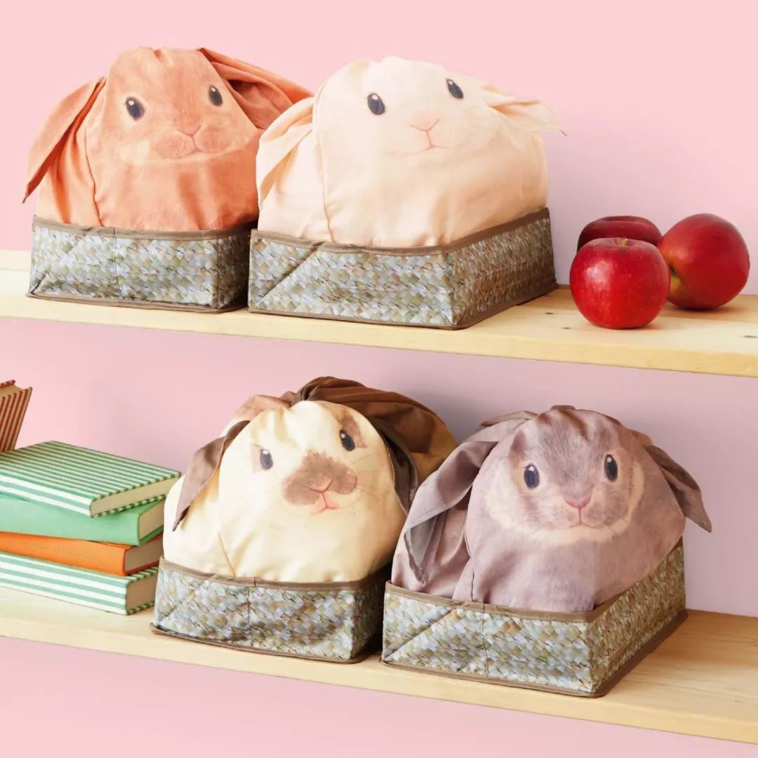 放开我的钱包啊!令猫奴闻风丧胆的种草大会!