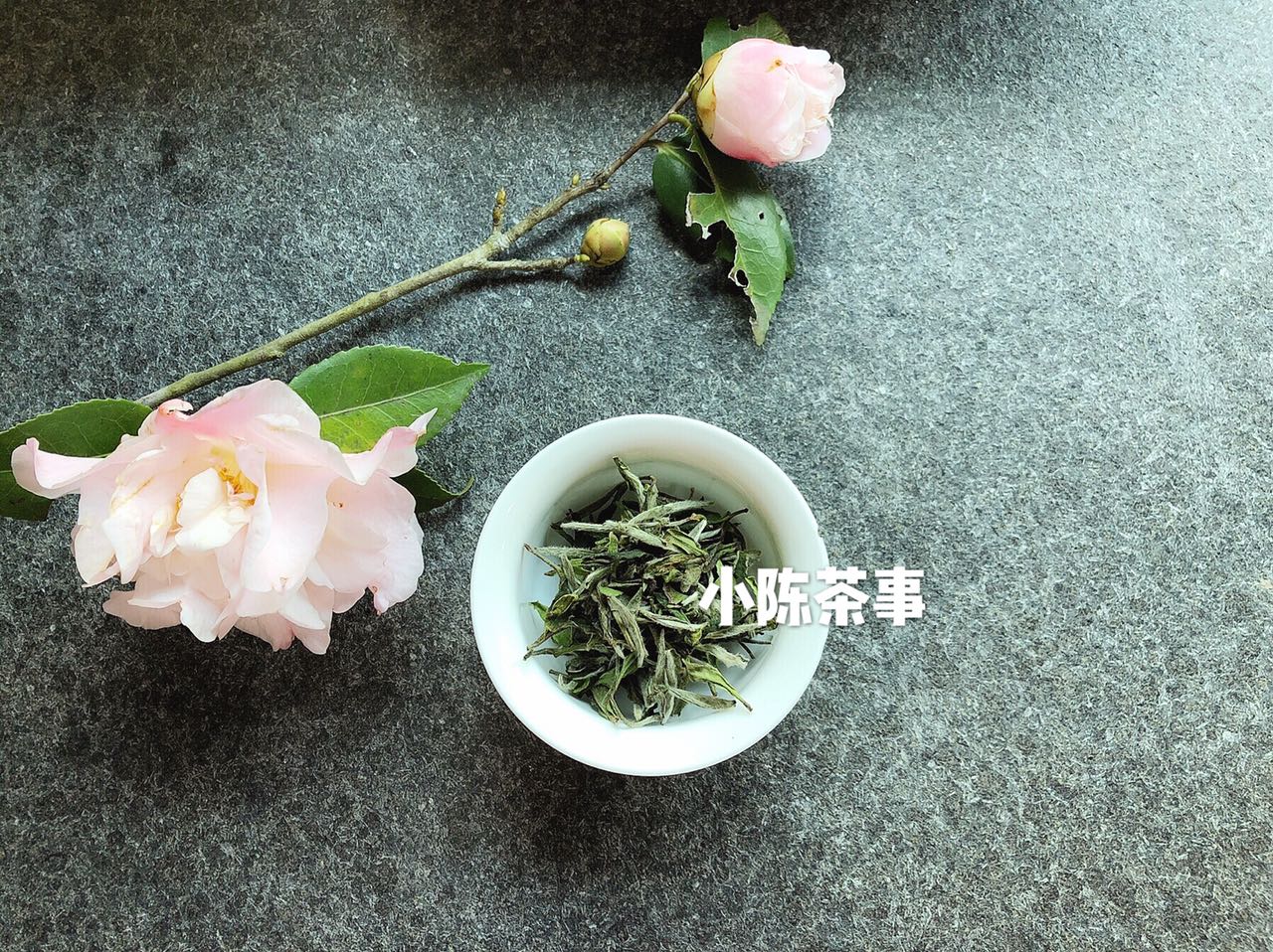 十年的老白茶是饼茶好还是散茶好,普洱茶白茶散茶好还是饼茶好