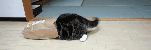 一般的药店有伟哥卖吗,中国的药店卖什么药