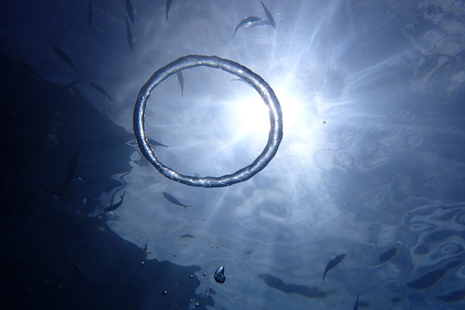 带着老人和孩子去上帝的水族馆！帕劳