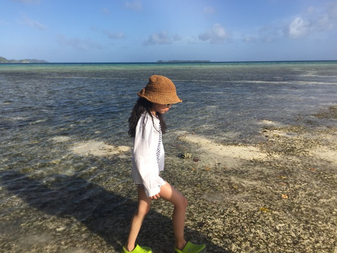 带着老人和孩子去上帝的水族馆！帕劳