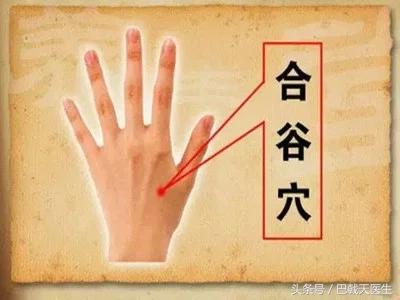 分享中医针灸基础知识，每日一穴：面口合谷收