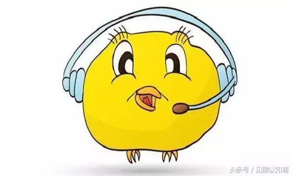 属鸡运势2022犯太岁麦玲玲,属鸡的兔年犯太岁运势如何