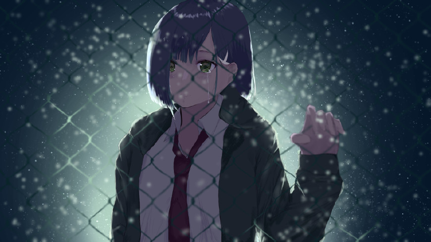 国家队动漫壁纸樱花,国家队动漫壁纸全家福