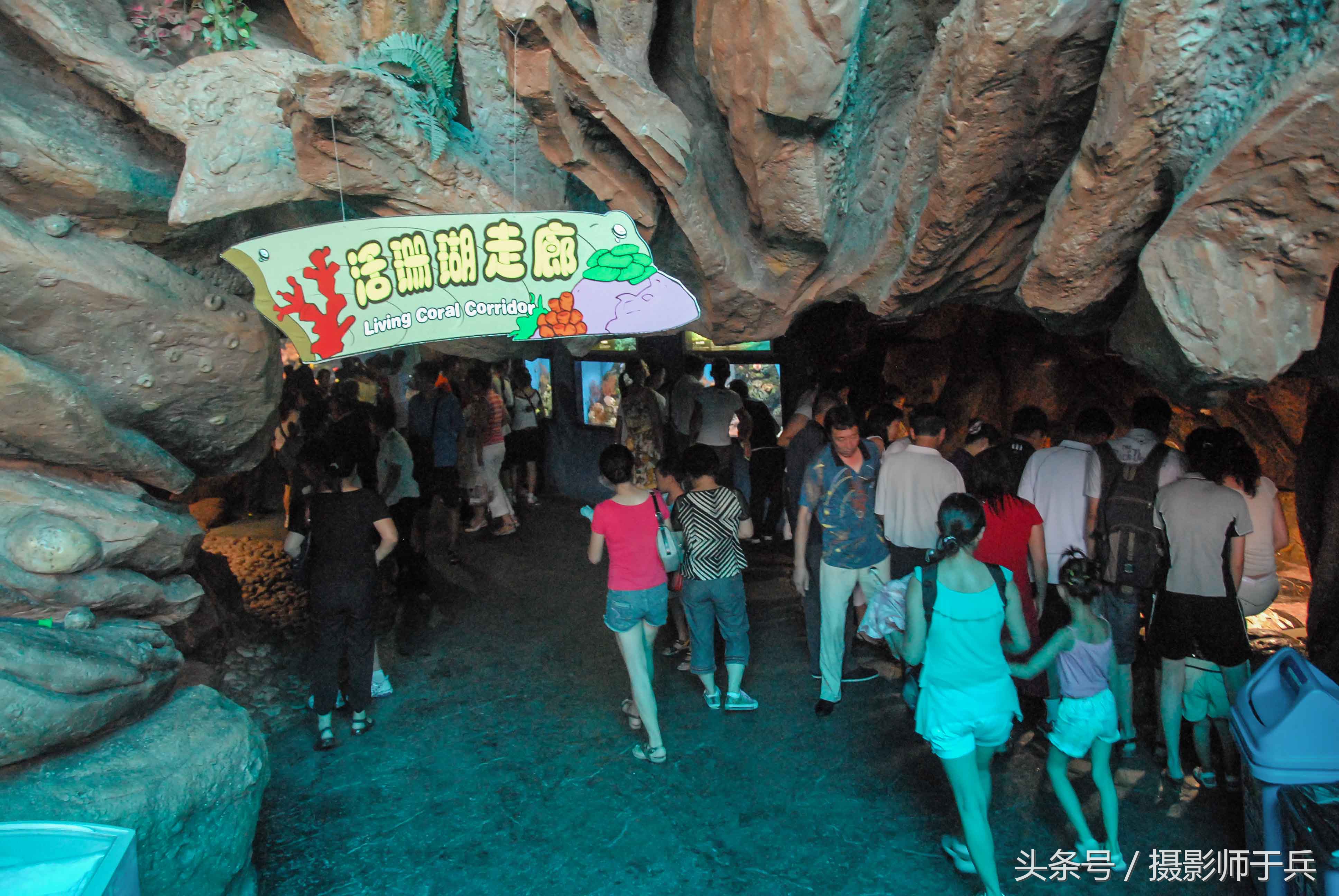 大连海洋主题公园在哪里,大连最著名的老虎滩海洋公园