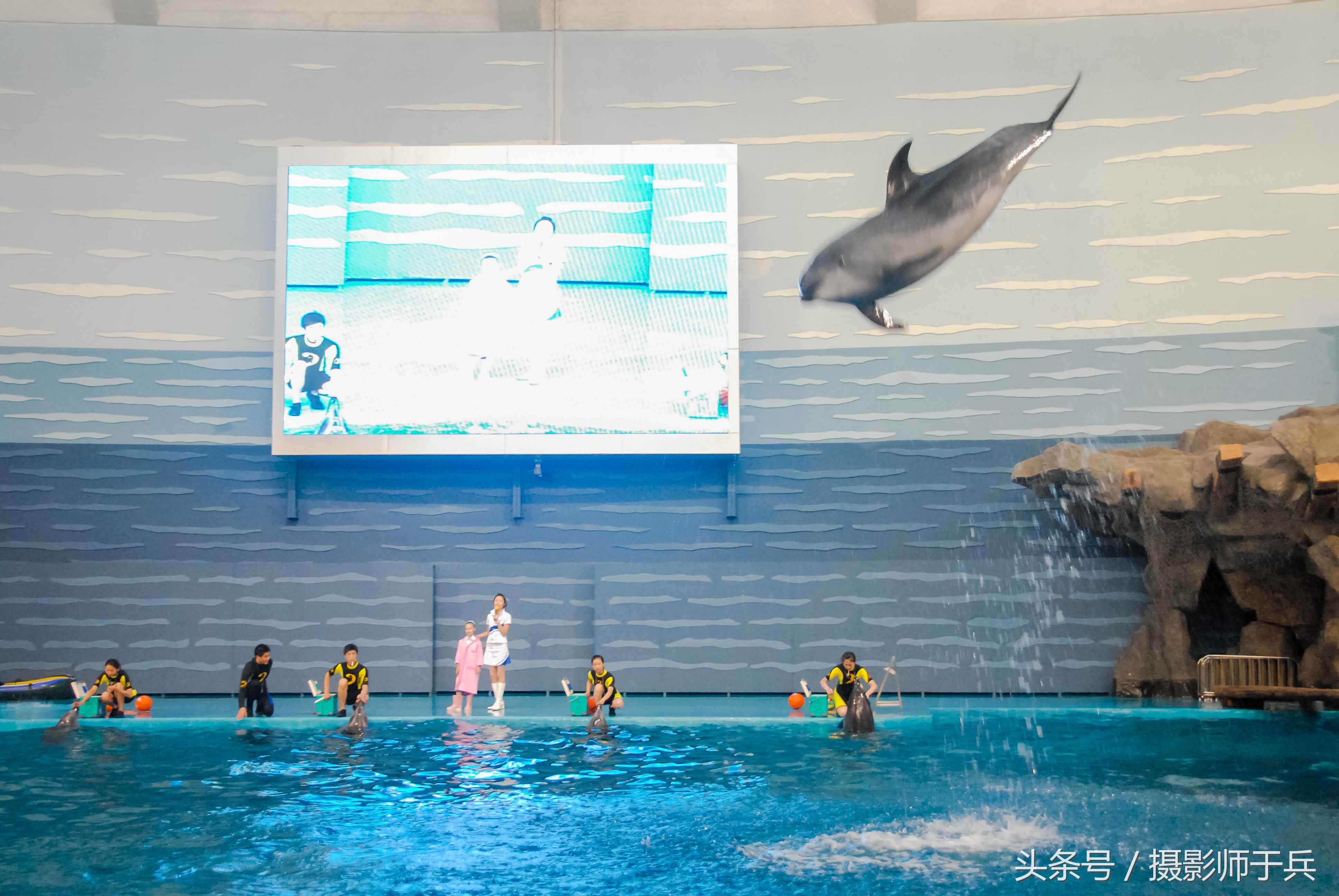 大连海洋主题公园在哪里,大连最著名的老虎滩海洋公园