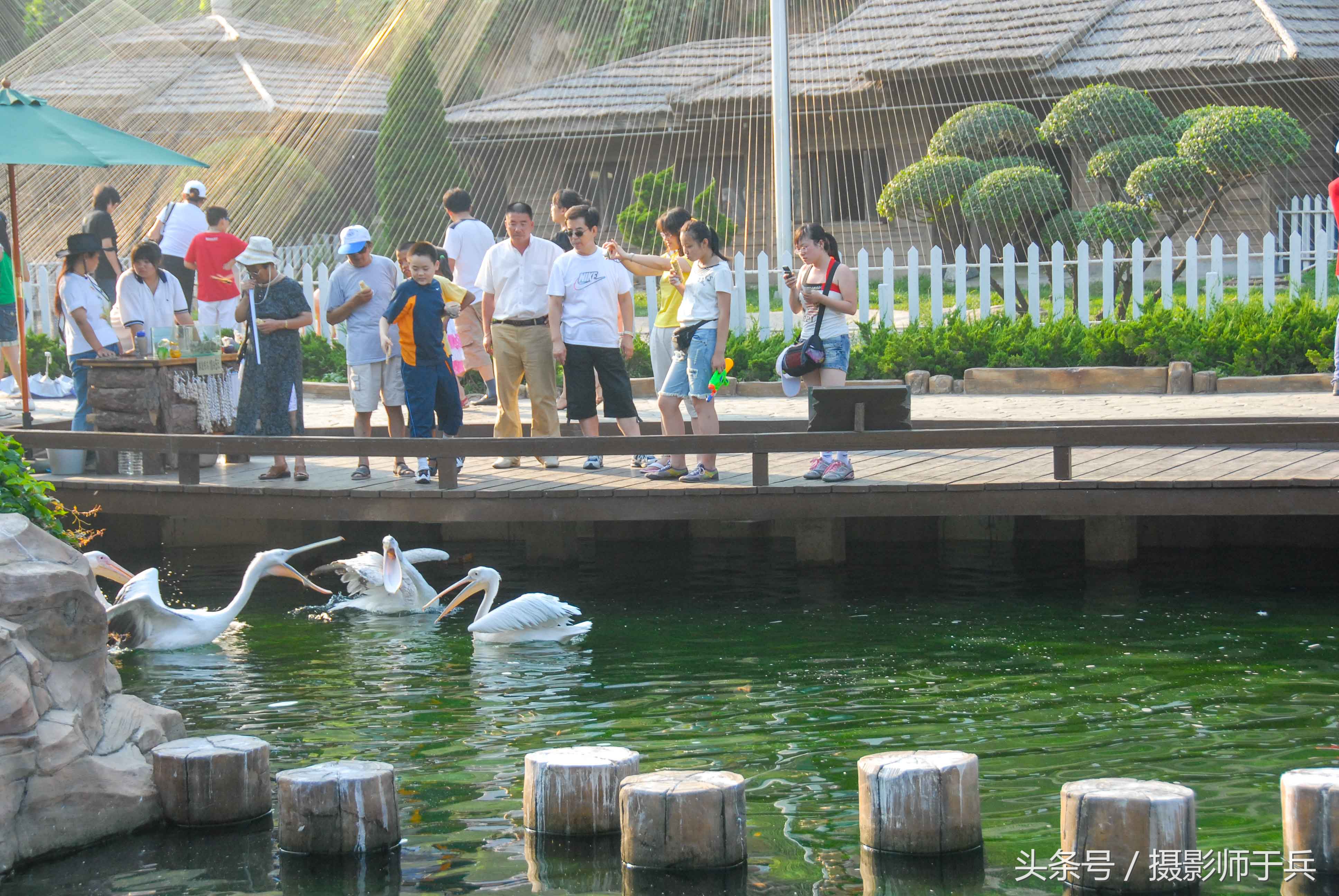 大连海洋主题公园在哪里,大连最著名的老虎滩海洋公园