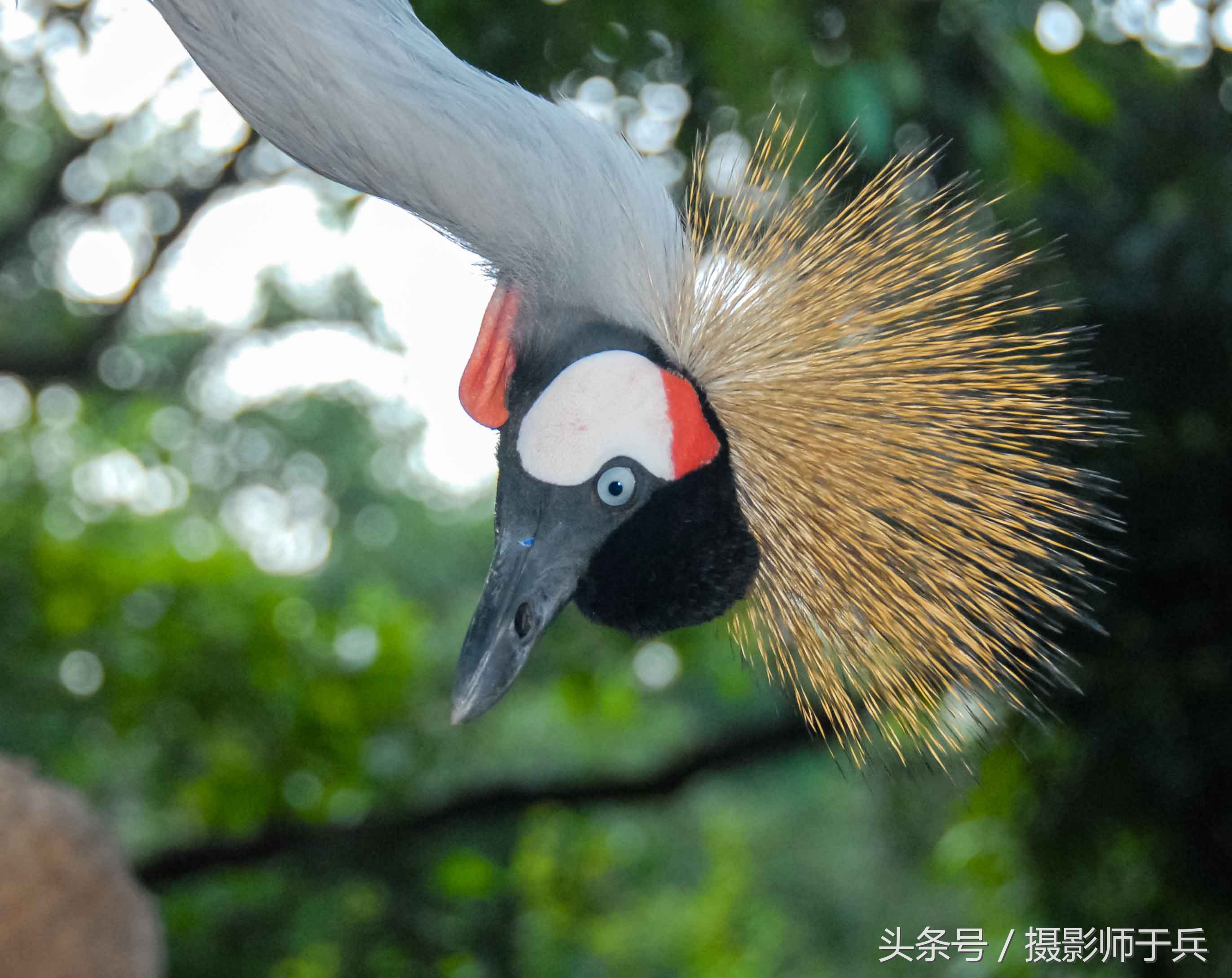 大连海洋主题公园在哪里,大连最著名的老虎滩海洋公园