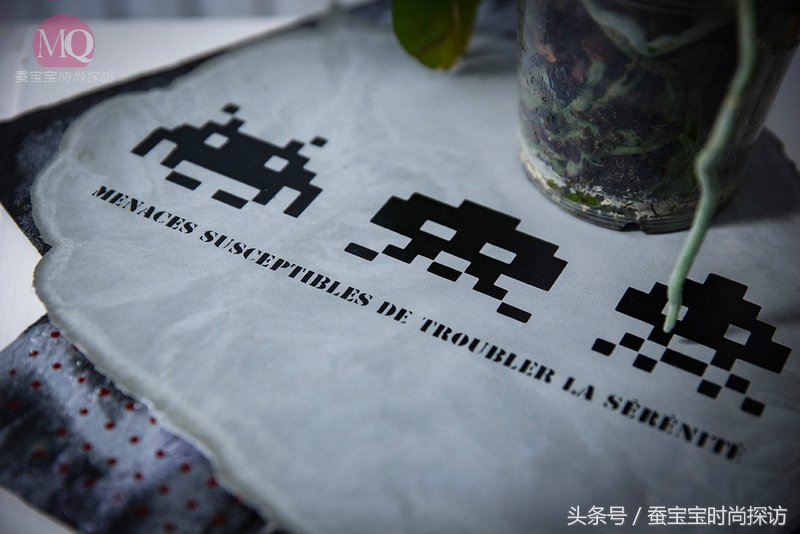 迷彩丝影-专访法国丝印大师VeroniqueFremy盛放法国的东土之花