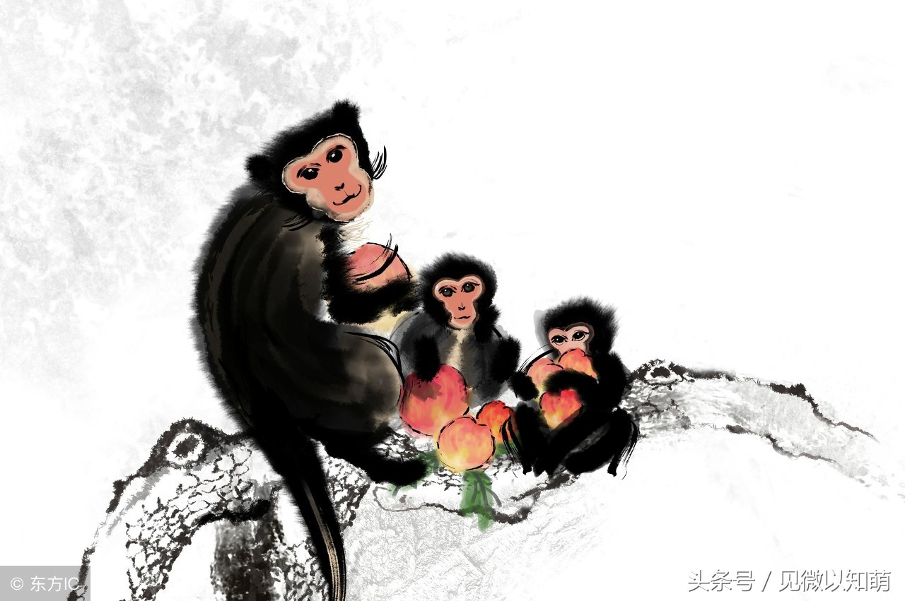 2018属相猴的运势详解,92年生肖猴2022年的运势大全