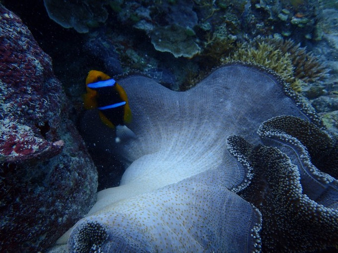 和闺蜜一起去水上世界,闺蜜一起游东湖公园