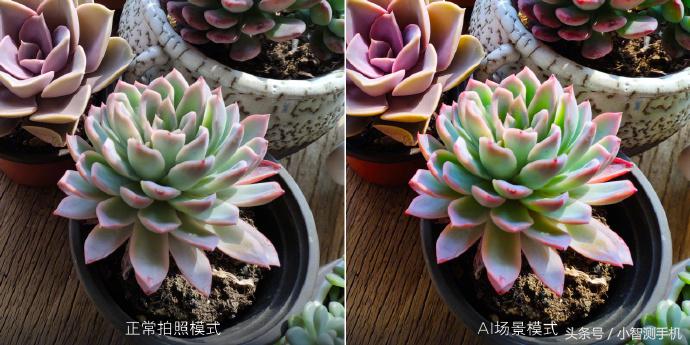 小米mix2s拍照怎样好看,小米mix2s拍照效果图