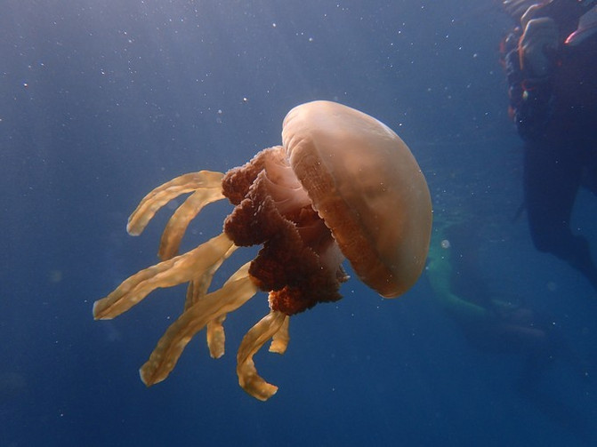 和闺蜜一起去水上世界,闺蜜一起游东湖公园
