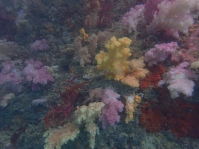 和闺蜜一起去水上世界,闺蜜一起游东湖公园