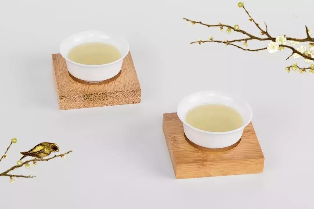 【茶禅】毛主席命名的都匀毛尖，到底有多好喝？