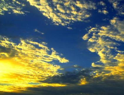 最有富贵命的五大生肖,这四大生肖个个都是上等好命