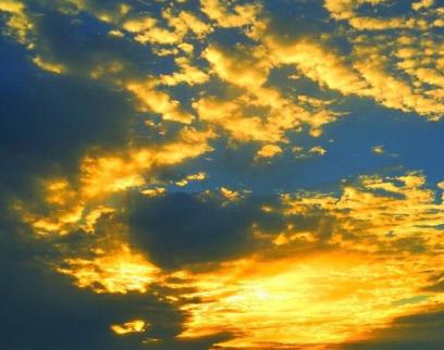 最有富贵命的五大生肖,这四大生肖个个都是上等好命