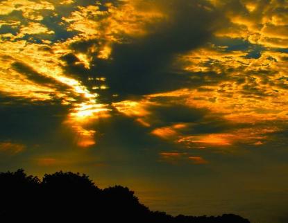 最有富贵命的五大生肖,这四大生肖个个都是上等好命