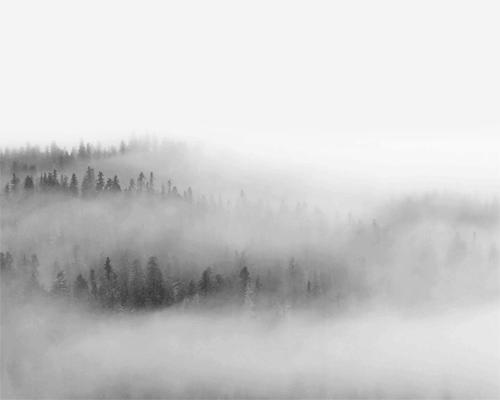 古筝与现代音乐,古筝电子音乐欣赏