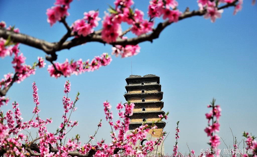 西安十大赏花地,西安雁塔3月赏花地方推荐