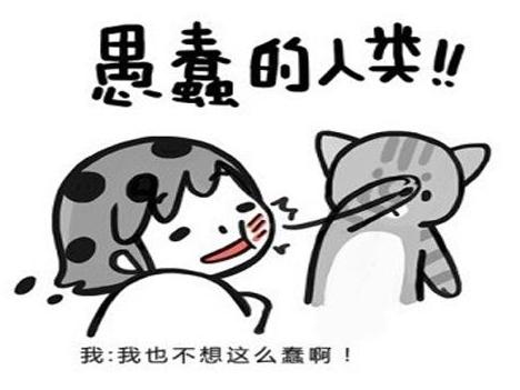 被打脸了,被打脸了很尴尬怎么办