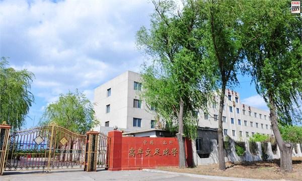 中国足球未来二十年能崛起吗,中国足球2050年可以崛起吗