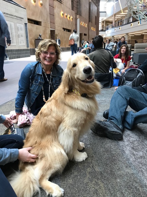 学生来稿_UMNCarlsonMSF学生的申请回顾与就读体验