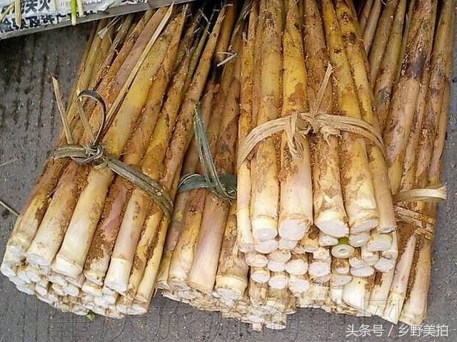 春天，原来竹笋还可以这么吃，广西酿菜：竹笋酿