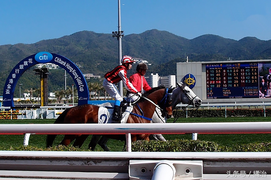 去香港赛马场,买张马票看马儿热血冲刺,超酷!(内含详细攻略)