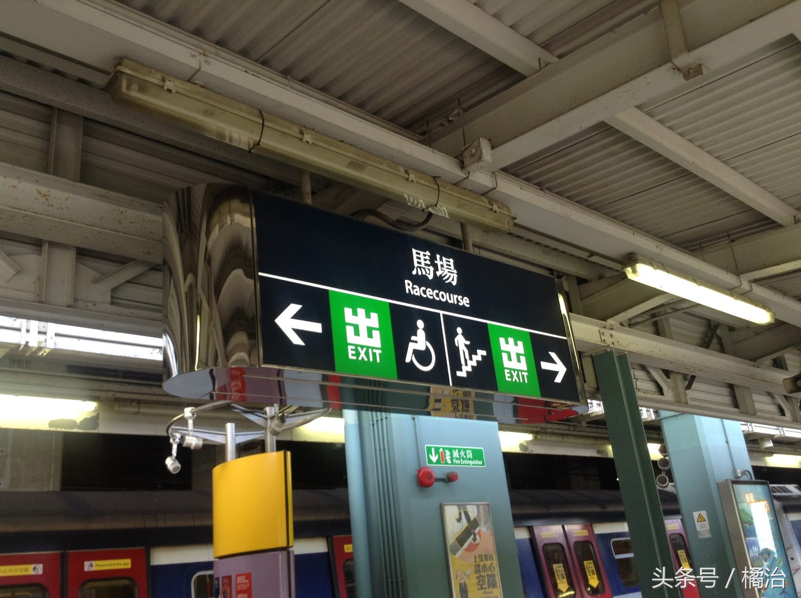 去香港赛马场,买张马票看马儿热血冲刺,超酷!(内含详细攻略)