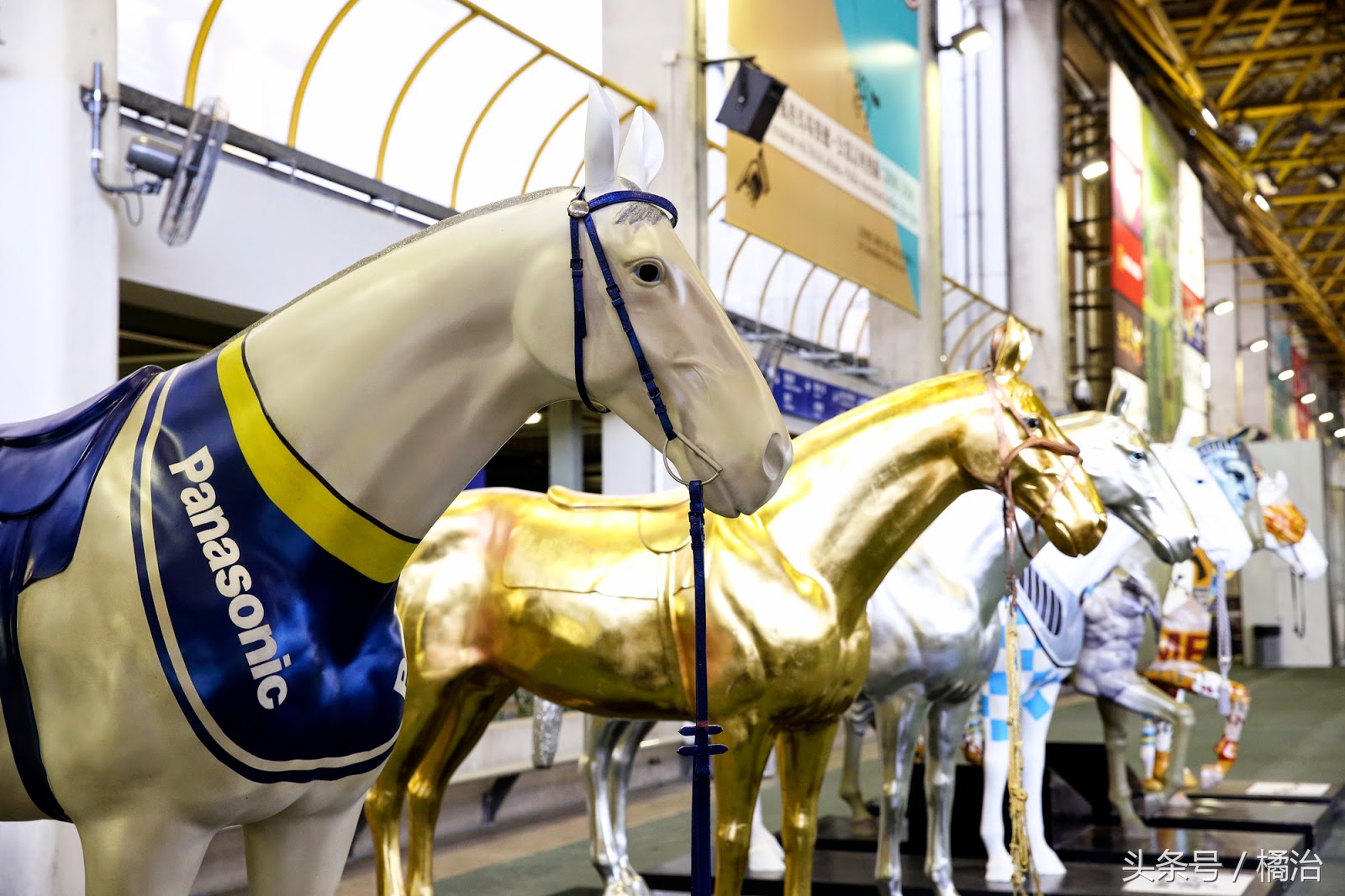 去香港赛马场,买张马票看马儿热血冲刺,超酷!(内含详细攻略)